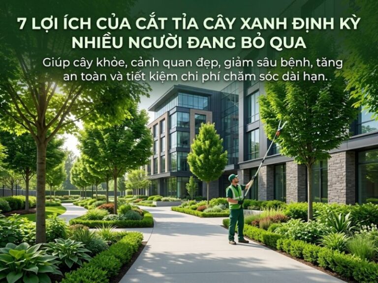 cắt tỉa cây xanh định kỳ